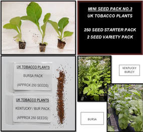 Mini Seed Pack No.3