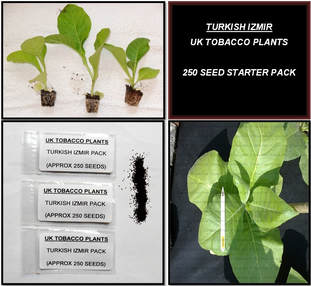 Turkish Izmir Tobacco Seed Packs