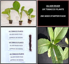 SILVER RIVER SEED PACK