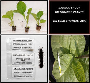 Bamboo Shoot Tobacco Seed Packs