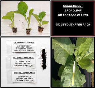 Connecticut Broadleaf Tobacco Seed Packs