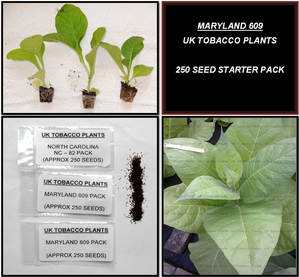 Maryland 609 Tobacco Seed Packs