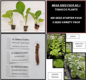 Mega Seed Pack No.1