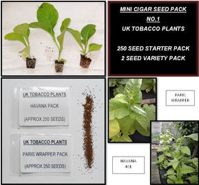 Cigar Mini Seed Pack No.1