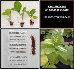 Paris Wrapper Tobacco Seed Packs