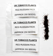 RED RUSSIAN SEED PACKS
