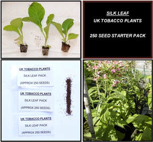 Silk Leaf Tobacco Seed Packs