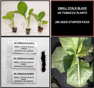 Small Stalk Black Tobacco Seed Packs