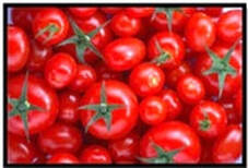 Tomatoe Seeds
